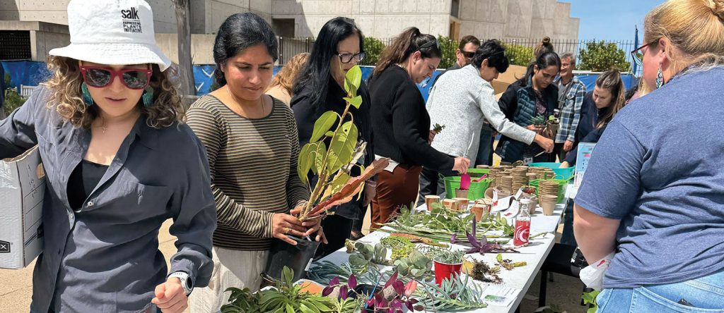 Rooted in Community: Plant Swap in the Grove