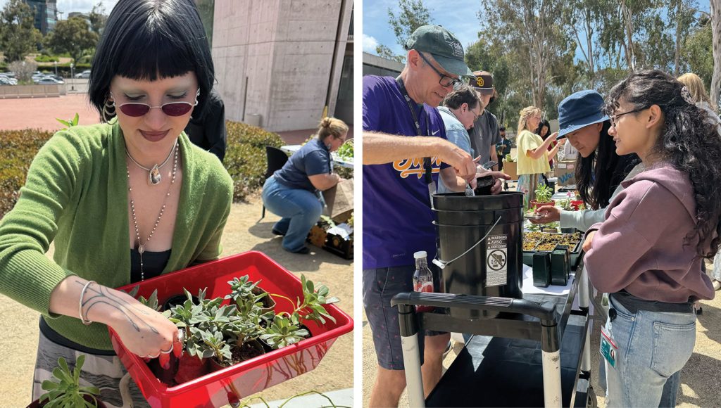 Rooted in Community: Plant Swap in the Grove