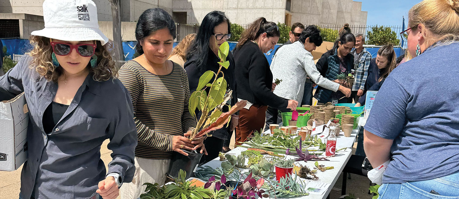 Rooted in Community: Plant Swap in the Grove