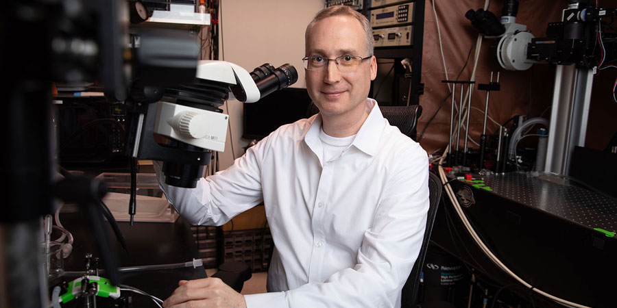 Visualizing cellular life with greater precision
