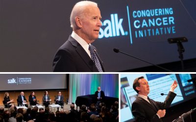 Salk takes aim at five of the deadliest cancers