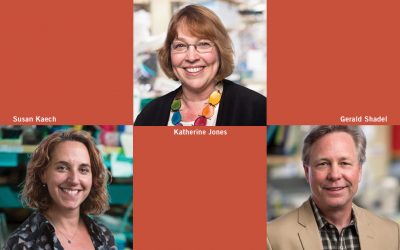 Three Salk scientists named to endowed chairs