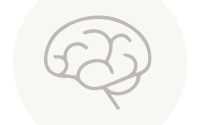 Salk scientists receive $1 million in latest round of BRAIN Initiative grants