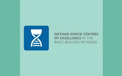 San Diego Nathan Shock Center announces grant awardees