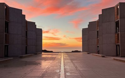 Salk Institute receives Charity Navigator’s highest rating for 11th consecutive time