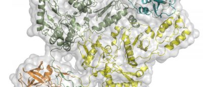 imaging-solves-mystery-of-how-large-hiv-protein-functions-to-form-infectious-virus