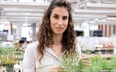 Natanella Illouz-Eliaz—Recipe for a plant biologist: tomatoes, failure, and perseverance