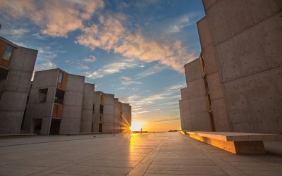 Salk Institute receives Charity Navigator’s highest rating for twelfth consecutive time