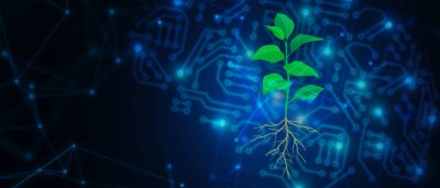 artificial-intelligence-helps-scientists-engineer-plants-to-fight-climate-change