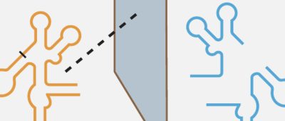 through-the-looking-glass-a-cross-chiral-reaction-challenges-our-definition-of-life