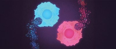 your-immune-cells-are-what-they-eat