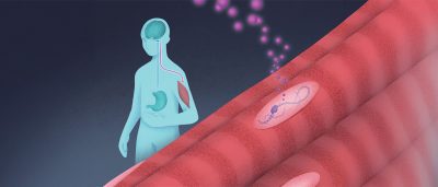 boosting-this-molecule-could-help-retain-muscle-while-losing-fat
