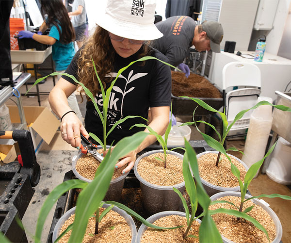 25-spring-frontiers-hpi-greenhouse