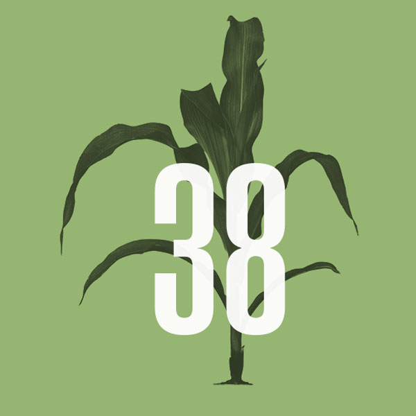 25-spring-frontiers-numbers-crops