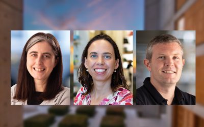 Three faculty members promoted