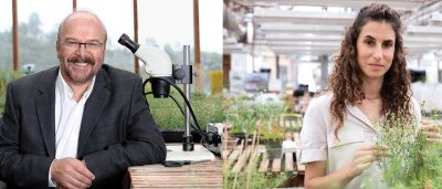 astrocyte-protein-linked-to-healthy-brain-connections-could-inspire-new-treatments-for-alzheimers-3