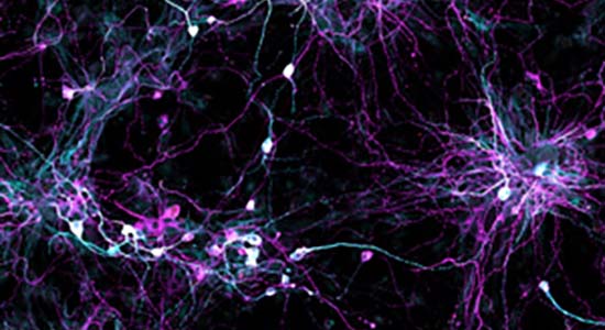 25-winter-discoveries-featured-gage-lab-v2