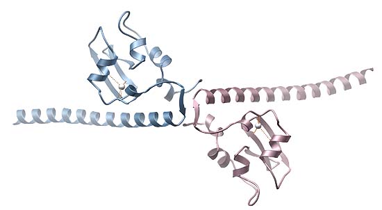 25-winter-discoveries-featured-hunter-noel-lab-v2