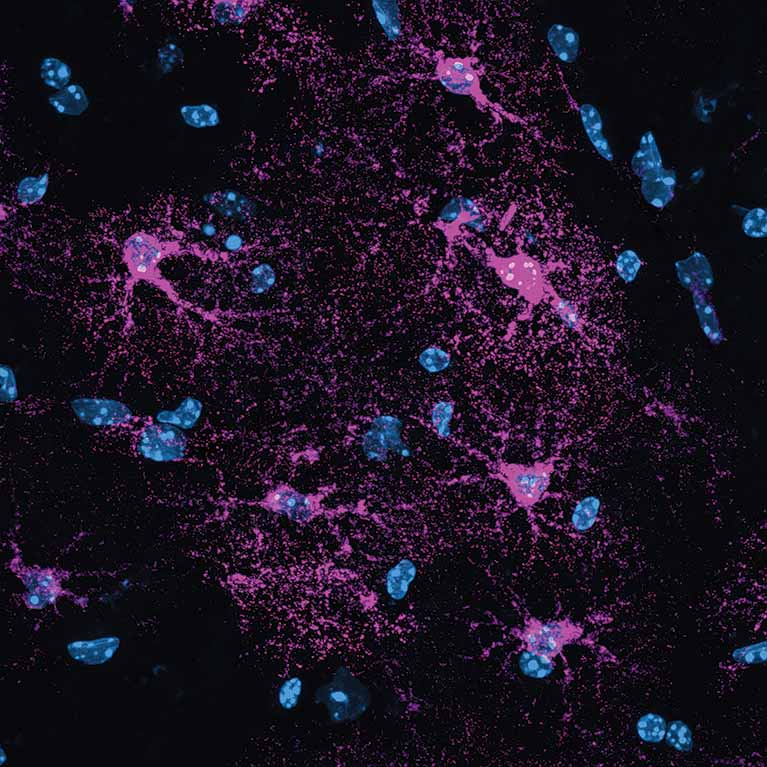 25-winter-nextgen-lab-img